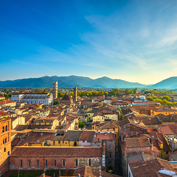 Rete Aste - Tribunale di Lucca