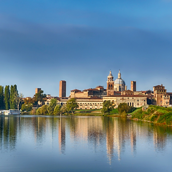 Rete Aste - Tribunale di Mantova